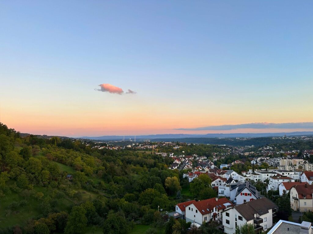 Ausblick