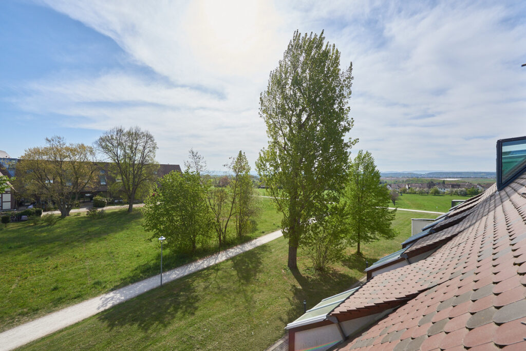 Traumhafter Ausblick in den Park